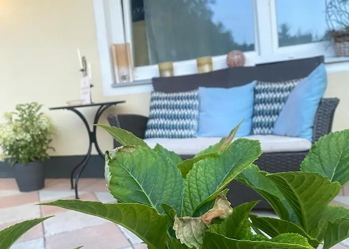 Apartament Cleo - Ein Raum - Bad Extern *